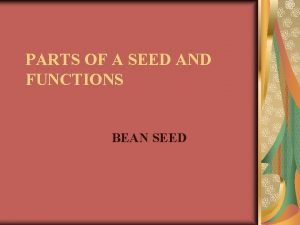 Parts and functions of a seed