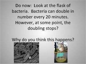 Do now Look at the flask of bacteria