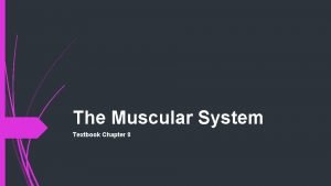 The Muscular System Textbook Chapter 8 The Muscular