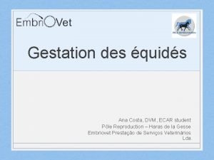 Gestation des quids Ana Costa DVM ECAR student