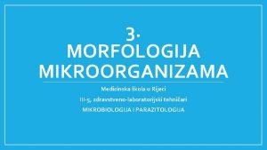 3 MORFOLOGIJA MIKROORGANIZAMA Medicinska kola u Rijeci III5