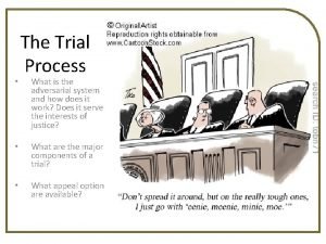 Adversarial trial system