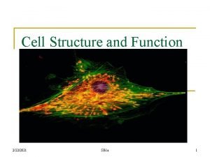 Cell Structure and Function 2222021 SB 1 a