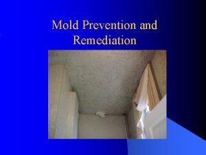 Mold Prevention and Remediation Agenda l How Does