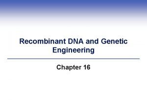 Recombinant DNA and Genetic Engineering Chapter 16 Impacts