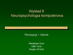 Wykad 9 Neuropsychologia komputerowa Percepcja I Wzrok Wodzisaw