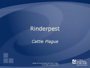 Rinderpest virus