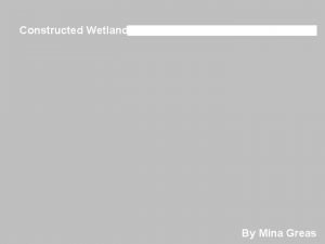 Constructed Wetlands By Mina Greas History Natural processes