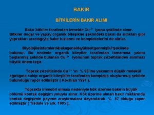 BAKIR BTKLERN BAKIR ALIMI Bakr bitkiler tarafndan temelde