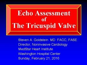 Tricuspid valve leaflets tee