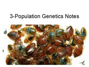 3 Population Genetics Notes Population genetics focuses on
