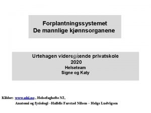 Forplantningssystemet