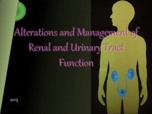Alterations and Management of Renal and Urinary Tract