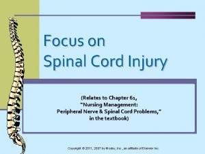 T10 spinal cord