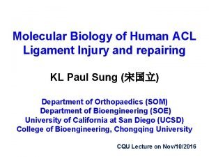 Molecular Biology of Human ACL Ligament Injury and