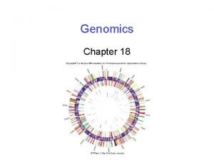 Genomics Chapter 18 Mapping Genomes Maps of genomes