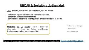 Procesos geologicos