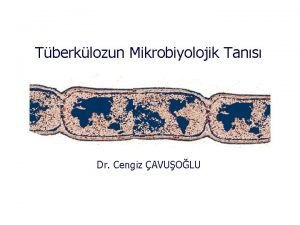 Tberklozun Mikrobiyolojik Tans Dr Cengiz AVUOLU Mikobakterilerin Snflandrmas