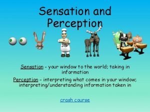 Sensation and Perception Sensation your window to the