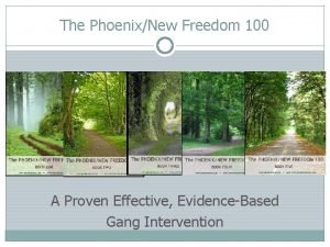 The PhoenixNew Freedom 100 A Proven Effective EvidenceBased