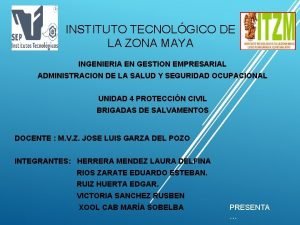 INSTITUTO TECNOLGICO DE LA ZONA MAYA INGENIERIA EN