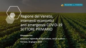 Regione del Veneto interventi economici anti emergenza COVID19