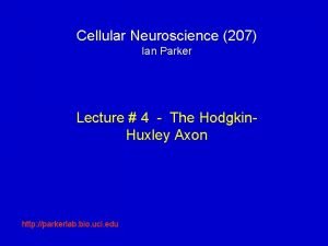 Cellular Neuroscience 207 Ian Parker Lecture 4 The