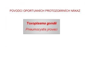 PVODCI OPORTUNNCH PROTOZORNCH NKAZ Toxoplasma gondii Pneumocystis jiroveci