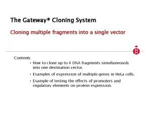 The Gateway Cloning System Cloning multiple fragments into