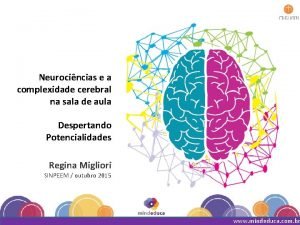 Neurocincias e a complexidade cerebral na sala de