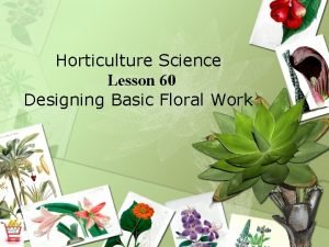 Horticulture Science Lesson 60 Designing Basic Floral Work