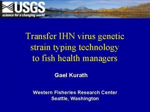 Columbia ihn