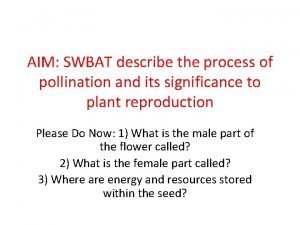 AIM SWBAT describe the process of pollination and