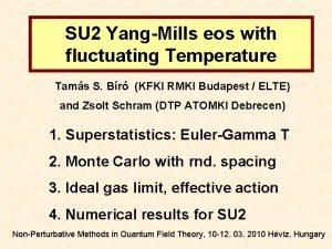 SU 2 YangMills eos with fluctuating Temperature Tams