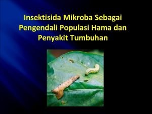 Insektisida Mikroba Sebagai Pengendali Populasi Hama dan Penyakit