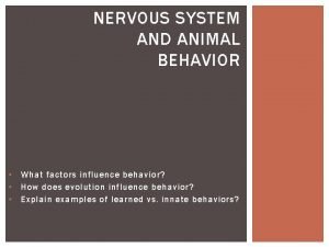 Synaptic transmission quiz