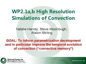 WP 2 1 a b High Resolution Simulations
