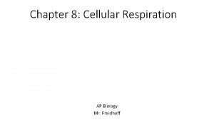 Chapter 8 Cellular Respiration AP Biology Mr Freidhoff