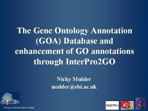 The Gene Ontology Annotation GOA Database and enhancement