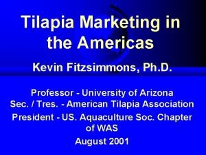 Tilapia Marketing in the Americas Kevin Fitzsimmons Ph