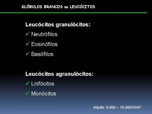 GLBULOS BRANCOS ou LEUCCITOS Leuccitos granulcitos Neutrfilos Eosinfilos