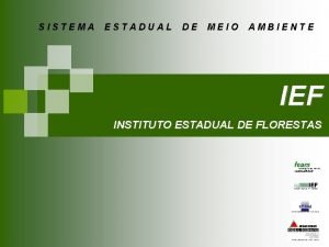 SISTEMA ESTADUAL DE MEIO AMBIENTE IEF INSTITUTO ESTADUAL