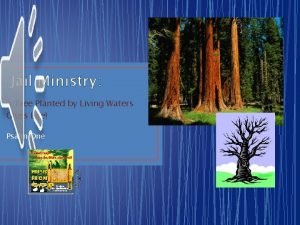 Jail Ministry A Tree Planted by Living Waters
