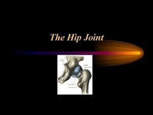 The Hip Joint MOVEMENT Flexion Extension Abduction Adduction