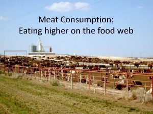 Meat consumption