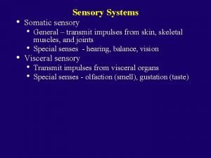 Sensory Systems Somatic sensory General transmit impulses from