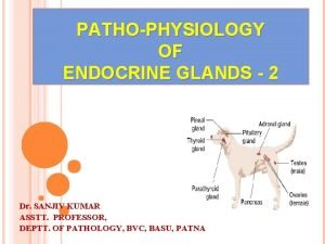 PATHOPHYSIOLOGY OF ENDOCRINE GLANDS 2 Dr SANJIV KUMAR