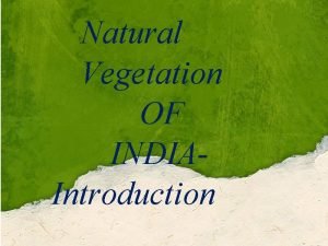 Introduction to natural vegetation