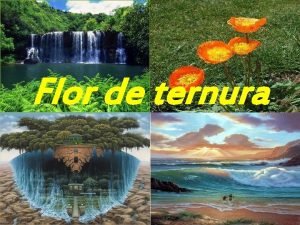 Flor ternura