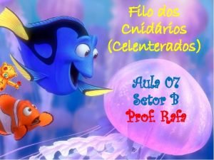 Celenterados sistema nervoso Celenterados sistema nervoso